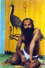 Tavatiru Balamurugan Adimai